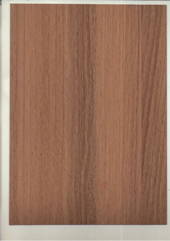 Finition de revêtement incassable de couleur de PE du noyau ACP de revêtement en bois de mur